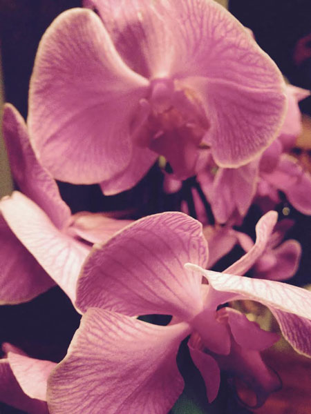 flower3